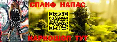 молекула духа Бузулук