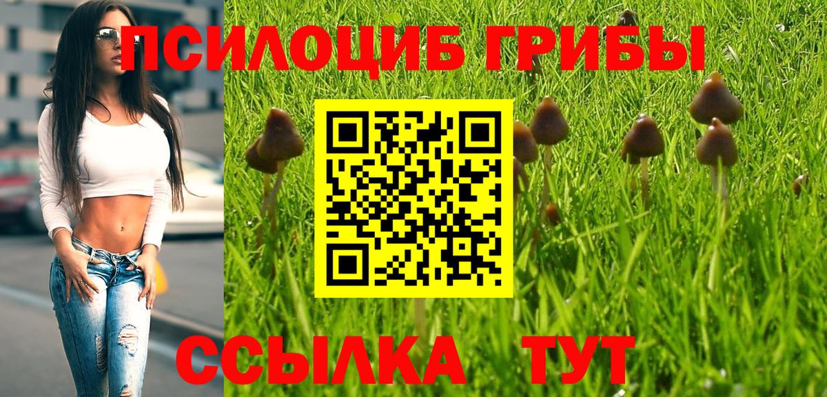 Псилоцибиновые грибы Cubensis  Галлюциногенные грибы MAGIC MUSHROOMS  Вход с VPN  даркнет сайт  Ликино-Дулёво 