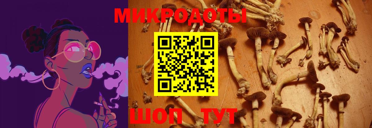 Псилоцибиновые грибы мицелий Ликино-Дулёво